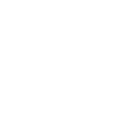 Updo's Studio · Est. 2000